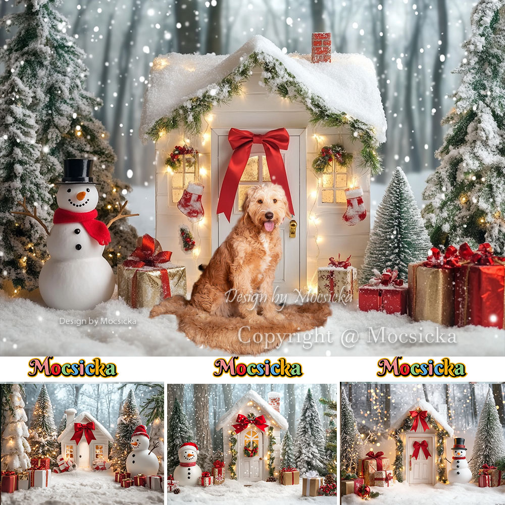 Photography Lighting White Background - Mocsicka branco casa de natal fotografia