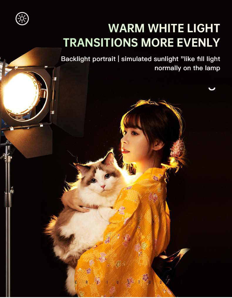 Beiyang 2000w holofote luz de  - Photography Lighting For Indoor avaliação e preço