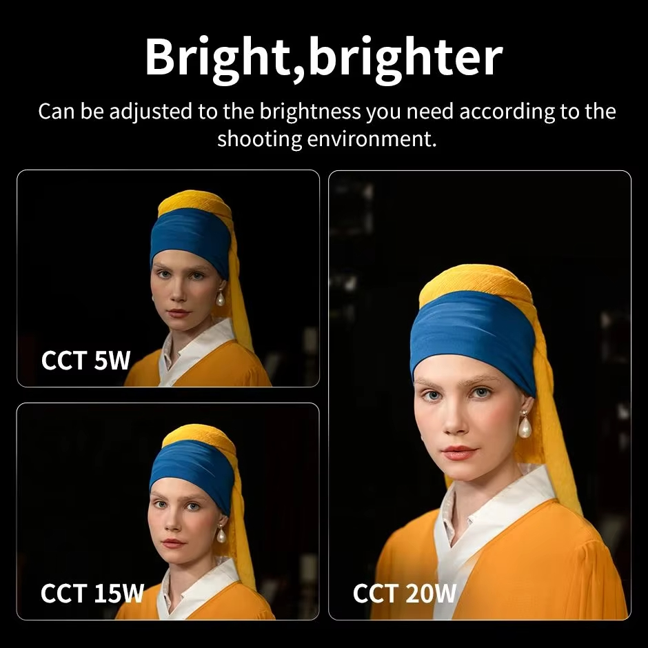 Luz de Vídeo LED Bicolor ZHIYU - Photography Lighting Styles avaliação e preço